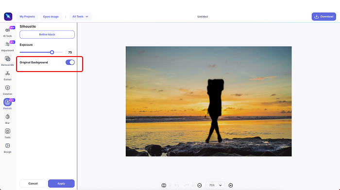  A screenshot of the silhouette background change feature in LightX.