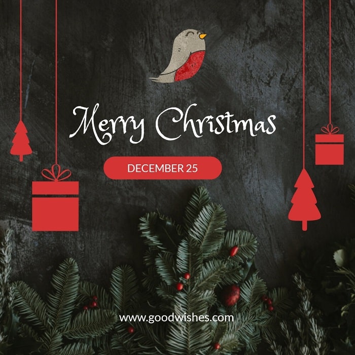 chritsmas templates, lightx app, christmas quotes, merry christmas wishes