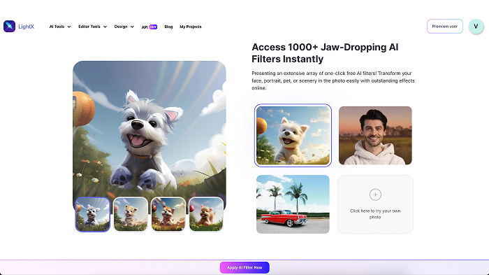 A screenshot of LightX’s AI filter page with the “Apply AI Filter Now” button and images.