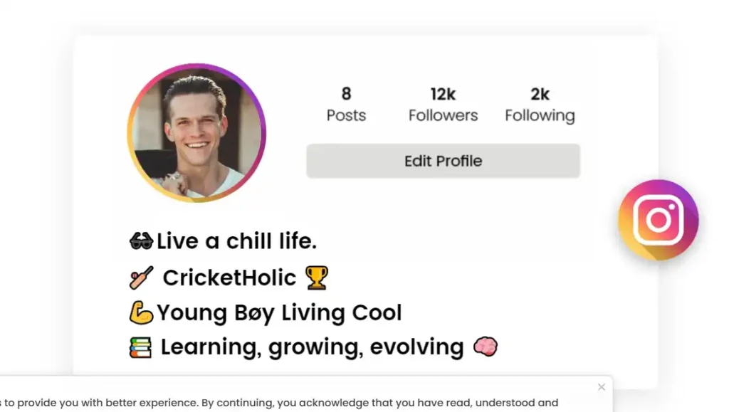 Phone screen showing a clean and well-written Instagram bio for boys.